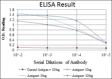FUK Mouse Monoclonal Antibody - Size: 100µl
