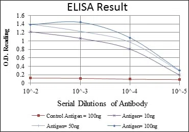 CDK9 Mouse Monoclonal Antibody - Size: 100µl