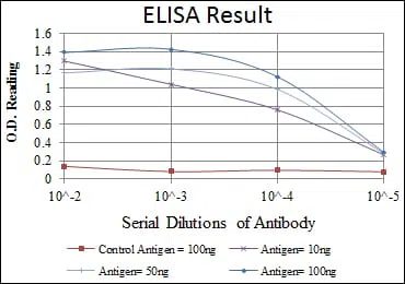 HSP27 Mouse Monoclonal Antibody - Size: 100µl