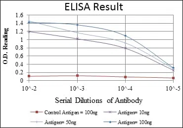 ABCG2 Mouse Monoclonal Antibody - Size: 50µl