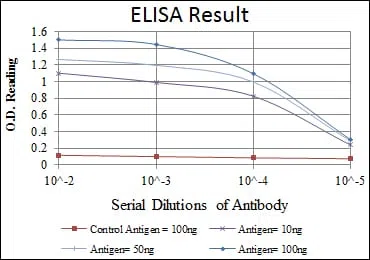 OTX2 Mouse Monoclonal Antibody - Size: 100µl