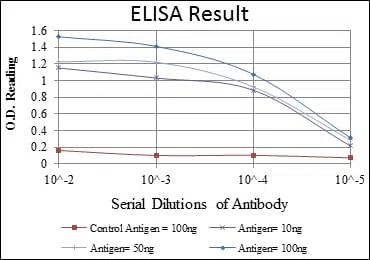 ABCG2 Mouse Monoclonal Antibody - Size: 100µl