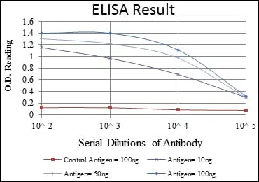 SMN1 Mouse Monoclonal Antibody - Size: 100µl