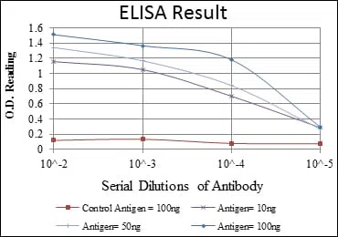 c-Rel Mouse Monoclonal Antibody - Size: 100µl