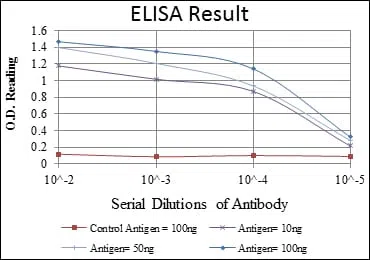 MAP3K5 Mouse Monoclonal Antibody - Size: 100µl