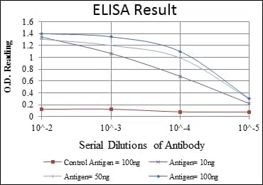 KRT19 Mouse Monoclonal Antibody - Size: 100µl