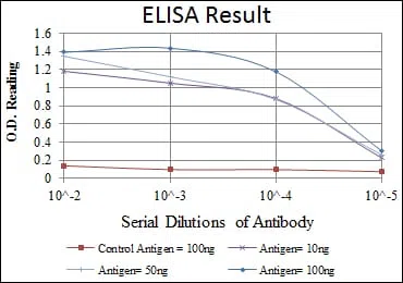 HSP90AB1 Mouse Monoclonal Antibody - Size: 100µl