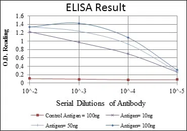 ACTA2 Mouse Monoclonal Antibody - Size: 100µl