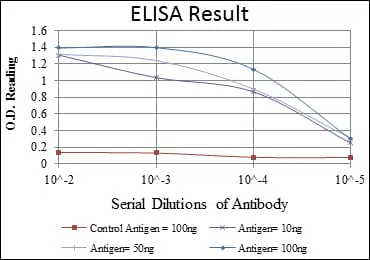 XRCC5 Mouse Monoclonal Antibody - Size: 100µl