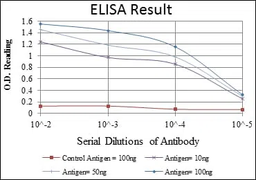 GKAP Mouse Monoclonal Antibody - Size: 100µl
