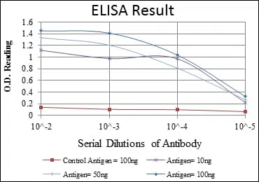 KRT19 Mouse Monoclonal Antibody - Size: 100µl