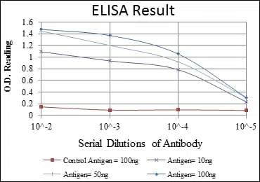 PSMB8 Mouse Monoclonal Antibody - Size: 100µl