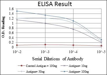 CRK Mouse Monoclonal Antibody - Size: 100µl