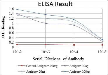 CRK Mouse Monoclonal Antibody - Size: 50µl
