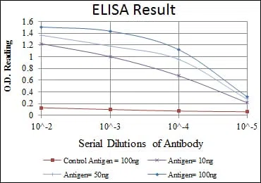 MCM2 Mouse Monoclonal Antibody - Size: 50µl