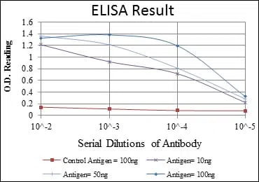 CCT2 Mouse Monoclonal Antibody - Size: 100µl