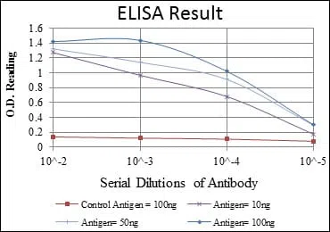 JUP Mouse Monoclonal Antibody - Size: 100µl