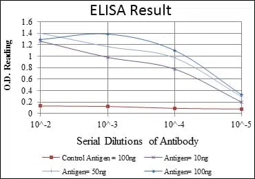FGG Mouse Monoclonal Antibody - Size: 100µl