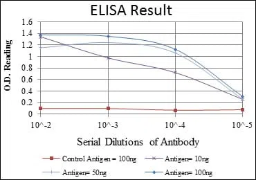 KID Mouse Monoclonal Antibody - Size: 100µl