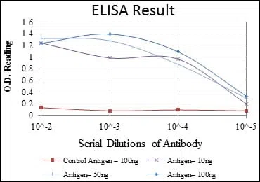 TNNI2 Mouse Monoclonal Antibody - Size: 50µl