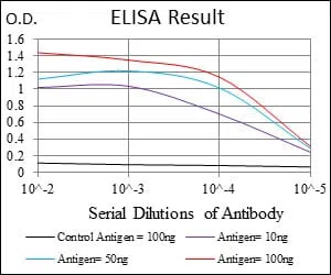 UBE2I Mouse Monoclonal Antibody - Size: 50µl