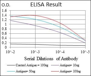 MSH6 Mouse Monoclonal Antibody - Size: 50µl