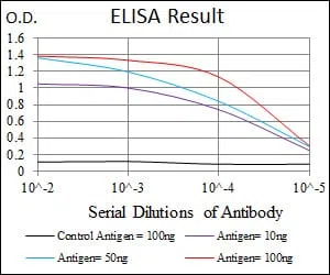 MBP Mouse Monoclonal Antibody - Size: 100µl