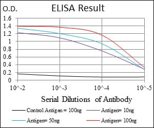 MCM2 Mouse Monoclonal Antibody - Size: 100µl