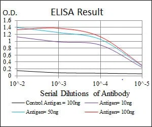 NQO1 Mouse Monoclonal Antibody - Size: 100µl