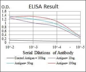 NQO1 Mouse Monoclonal Antibody - Size: 50µl