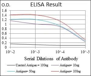NEFL Mouse Monoclonal Antibody - Size: 100µl