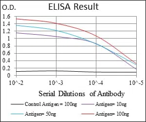 NEDD8 Mouse Monoclonal Antibody - Size: 50µl