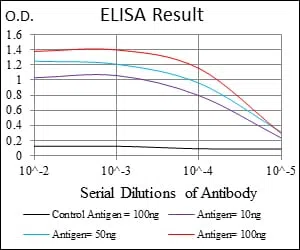 NEDD8 Mouse Monoclonal Antibody - Size: 100µl