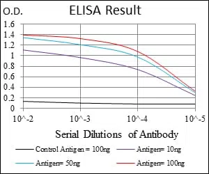 UBB Mouse Monoclonal Antibody - Size: 100µl