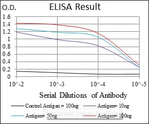 ASS1 Mouse Monoclonal Antibody - Size: 50µl
