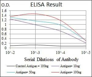 ASS1 Mouse Monoclonal Antibody - Size: 100µl