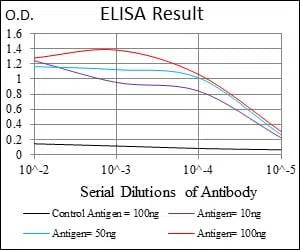 PBK Mouse Monoclonal Antibody - Size: 50µl