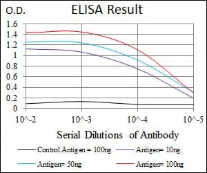MSN Mouse Monoclonal Antibody - Size: 100µl