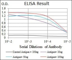 FN1 Mouse Monoclonal Antibody - Size: 50µl