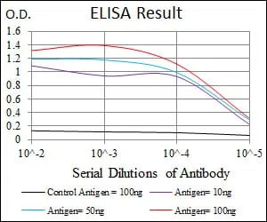 HEXA Mouse Monoclonal Antibody - Size: 100µl