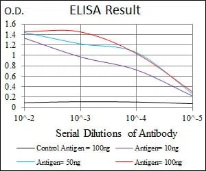 CEBPA Mouse Monoclonal Antibody - Size: 100µl