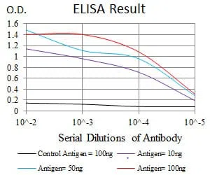 RAP1A Mouse Monoclonal Antibody - Size: 50µl