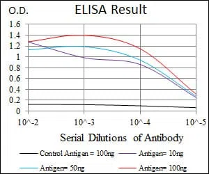 HAS3 Mouse Monoclonal Antibody - Size: 50µl