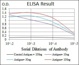 MAP1LC3B Mouse Monoclonal Antibody - Size: 50µl