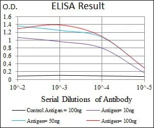 NKX2.2 Mouse Monoclonal Antibody - Size: 50µl
