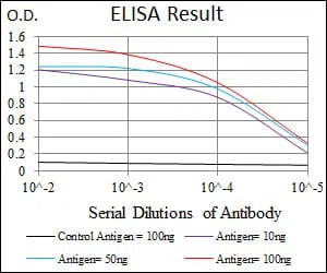MAPK8 Mouse Monoclonal Antibody - Size: 100µl