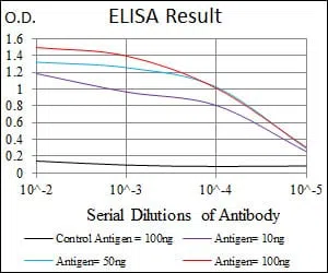 RAB4A Mouse Monoclonal Antibody - Size: 100µl