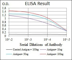 PPM1A Mouse Monoclonal Antibody - Size: 100µl