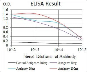 SPI1 Mouse Monoclonal Antibody - Size: 50µl