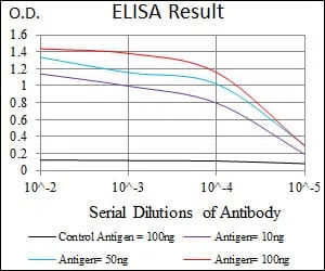 KRT13 Mouse Monoclonal Antibody - Size: 50µl